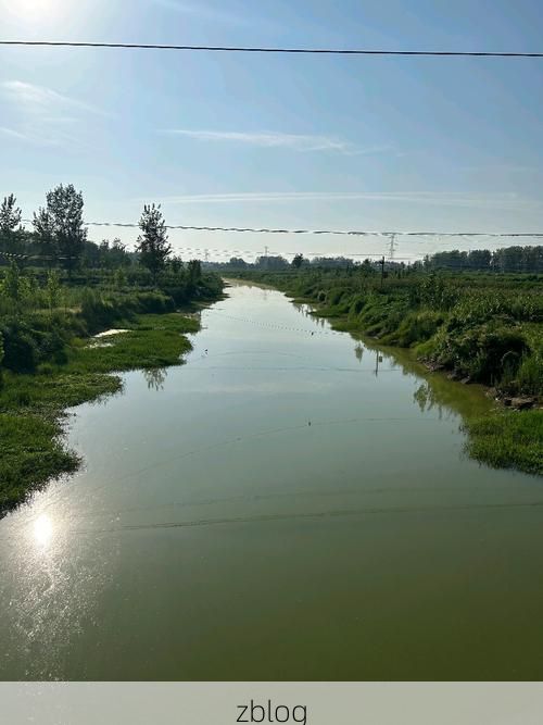 博野县：华北平原腹地的疫情防波堤