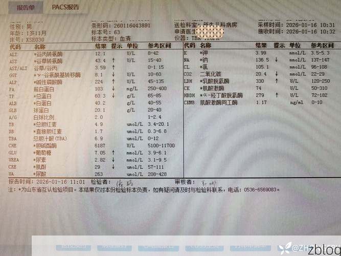 2022年9月5日沙湾区新增确诊病例情况