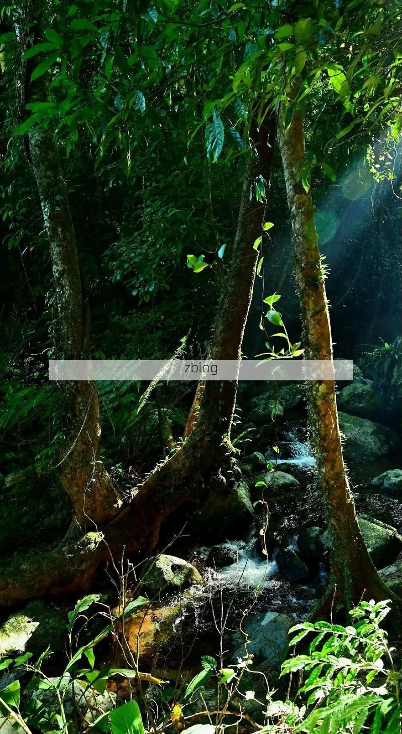 五指山屏障下的零感染坚守：热带雨林气候如何构筑防疫孤岛？_29523