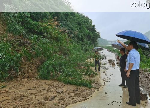 咸宁：鄂南门户的防疫地理学解析