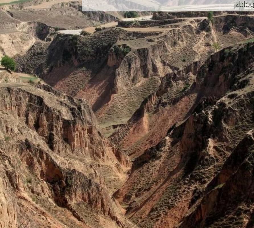 长武：黄土高原沟壑间的疫情防波堤_19013