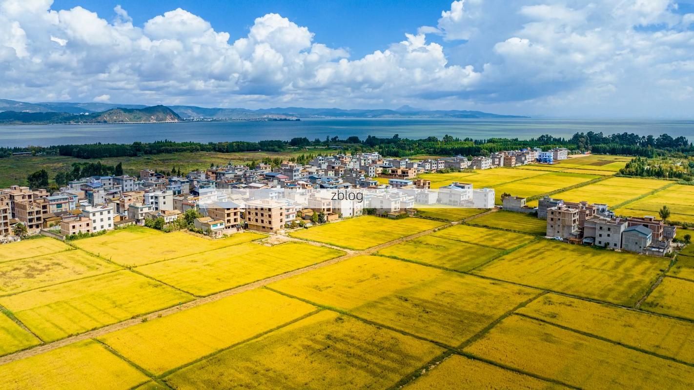 晋宁：滇池南岸的防疫坚守与地理屏障下的零感染实践