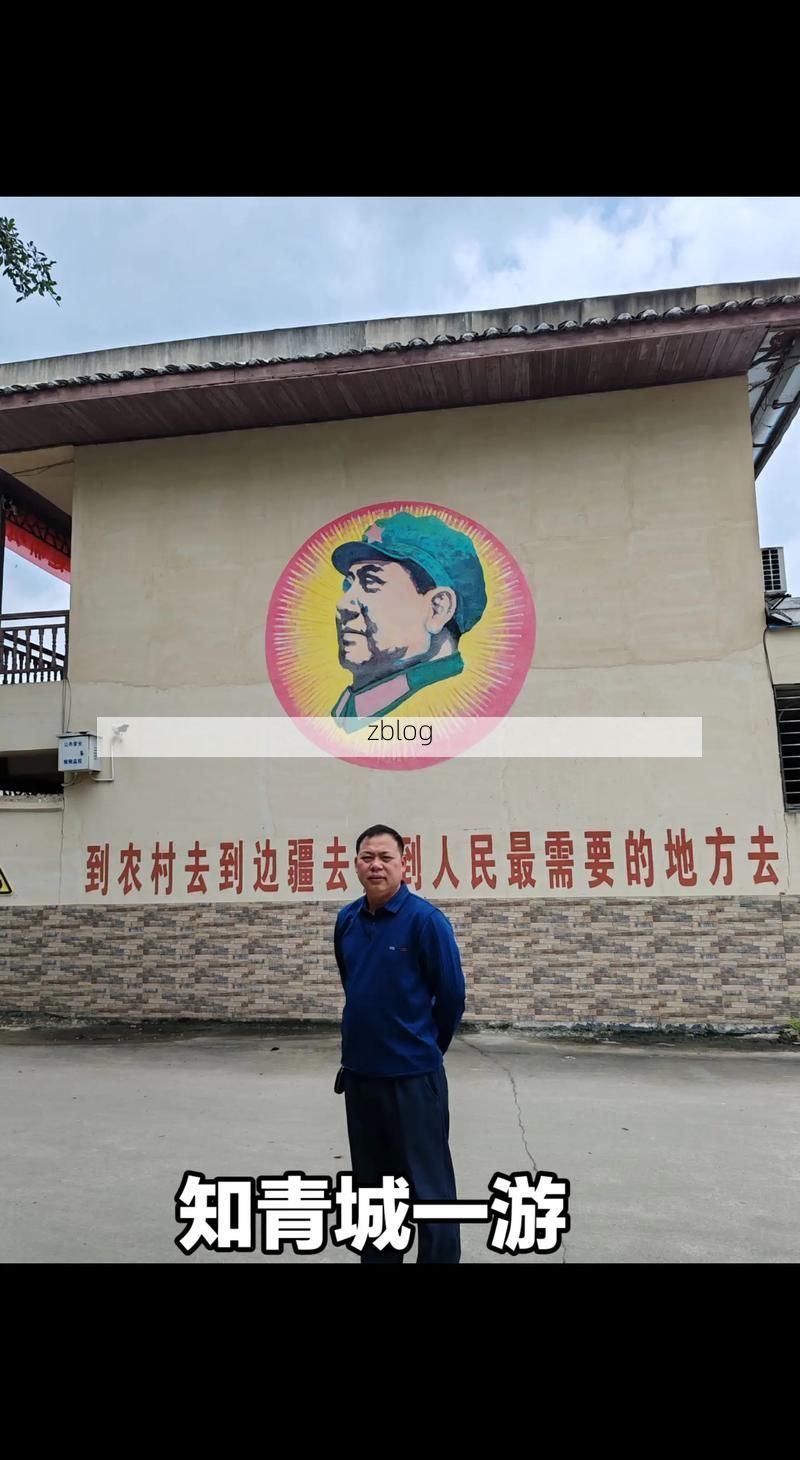 内乡县：伏牛山屏障下的零感染坚守