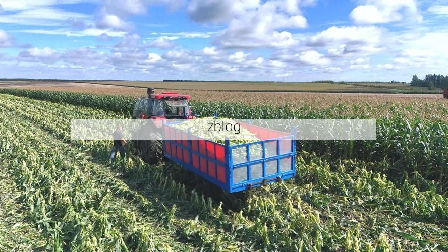 海伦市疫情：寒地黑土上的防控攻坚