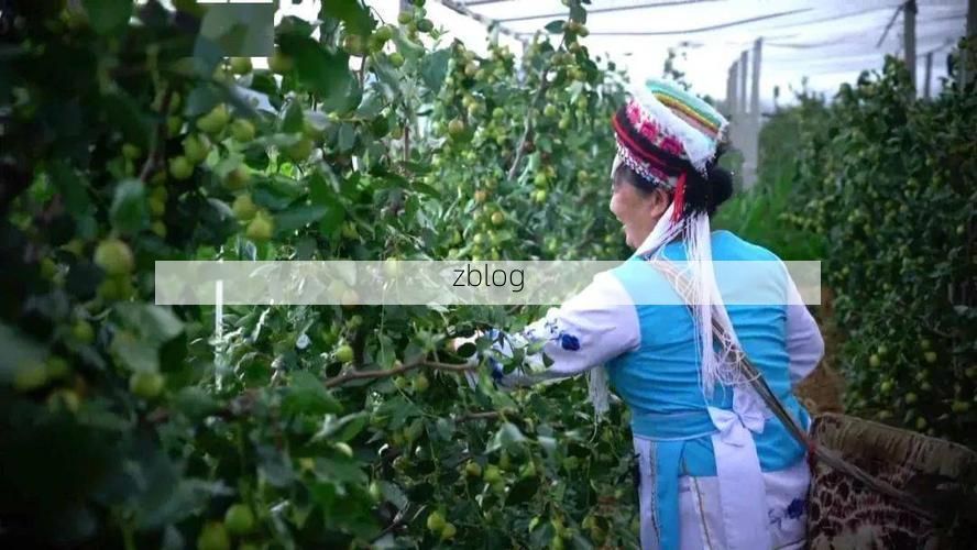 宾川疫情观察：高原坝区为何成为防控关键节点？