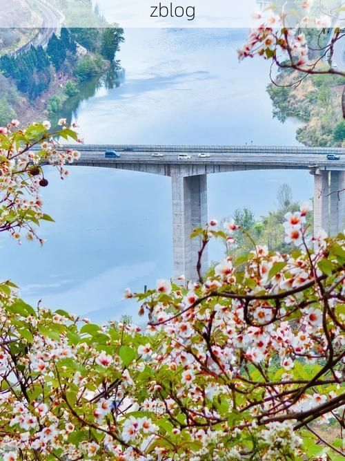 【金堂：沱江分水岭下的疫情地理学】