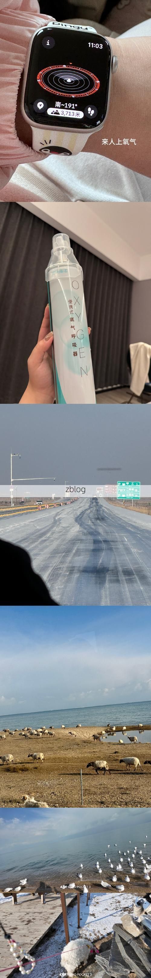 绥中：辽西走廊交通枢纽下的疫情破防与围堵