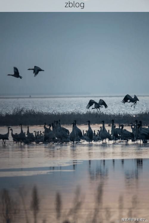 高原小城的防疫坚守：龙里县如何实现本土零感染？