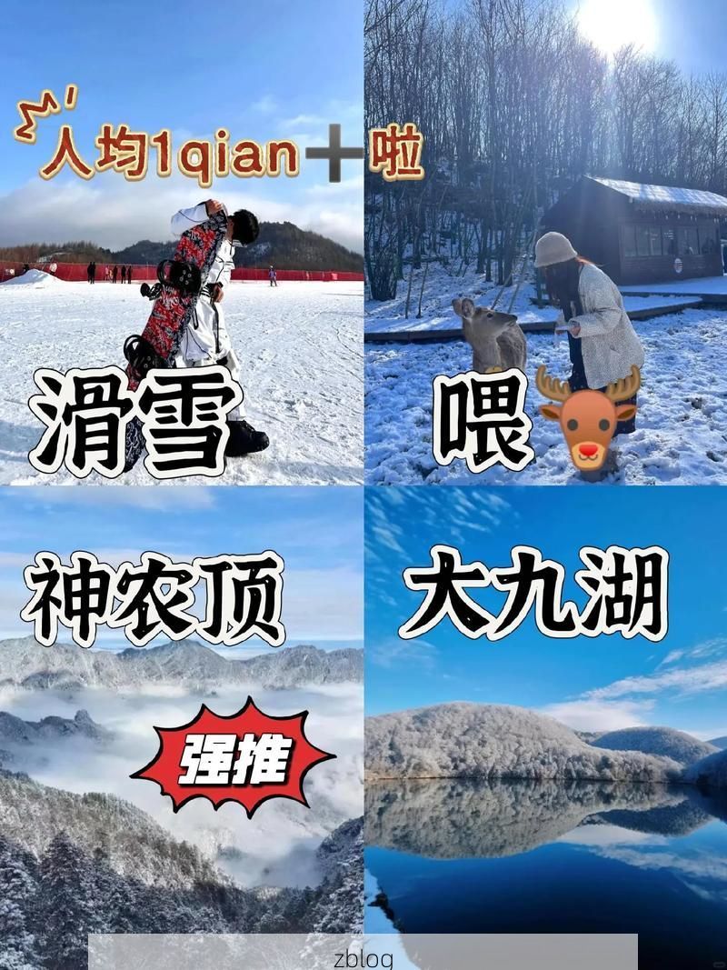 【神农架：华中屋脊的零感染屏障如何筑成？】