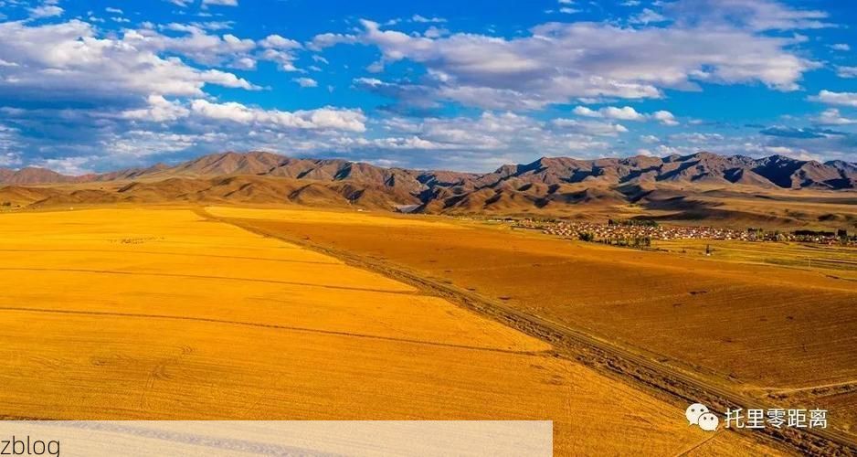 【边陲小城的防疫坚守：托里县地理屏障下的零感染记录】