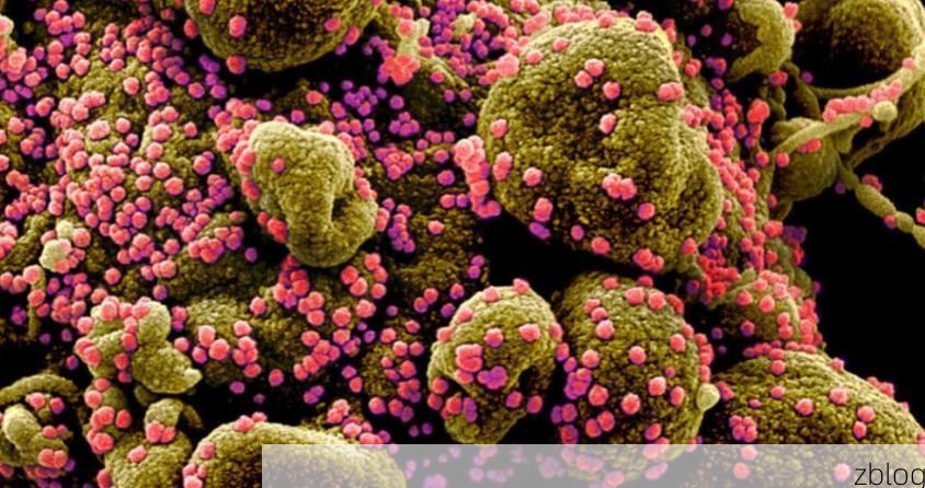 芮城：黄河臂弯中的零感染样本，地理屏障如何隔绝病毒？