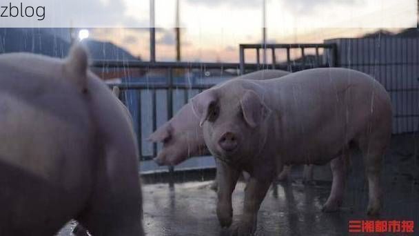 珲春口岸的防疫压力测试：边境小城如何守住零感染？_39920