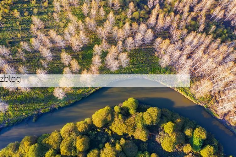 长岭防疫观察：松嫩平原腹地的疫情阻隔逻辑