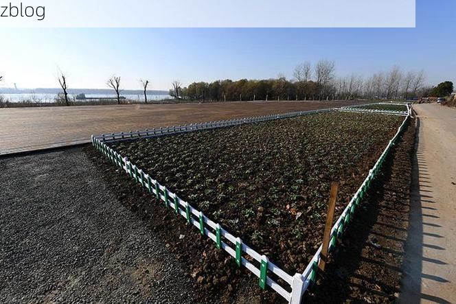 大观区疫情观察：临江老城区的防控挑战与地理屏障