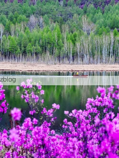 铁力：小兴安岭屏障下的低感染样本