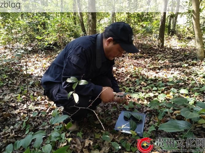 贵州高原屏障下的防疫挑战与地理解析