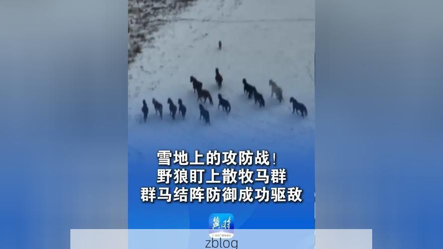 河南疫情：中原腹地的防控拉锯与地理屏障